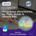 Programas alimentarios en Chile desde la mirada de APS