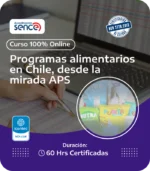 Programas alimentarios en Chile desde la mirada de APS